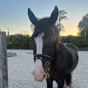 Meet your Posher, Natalia